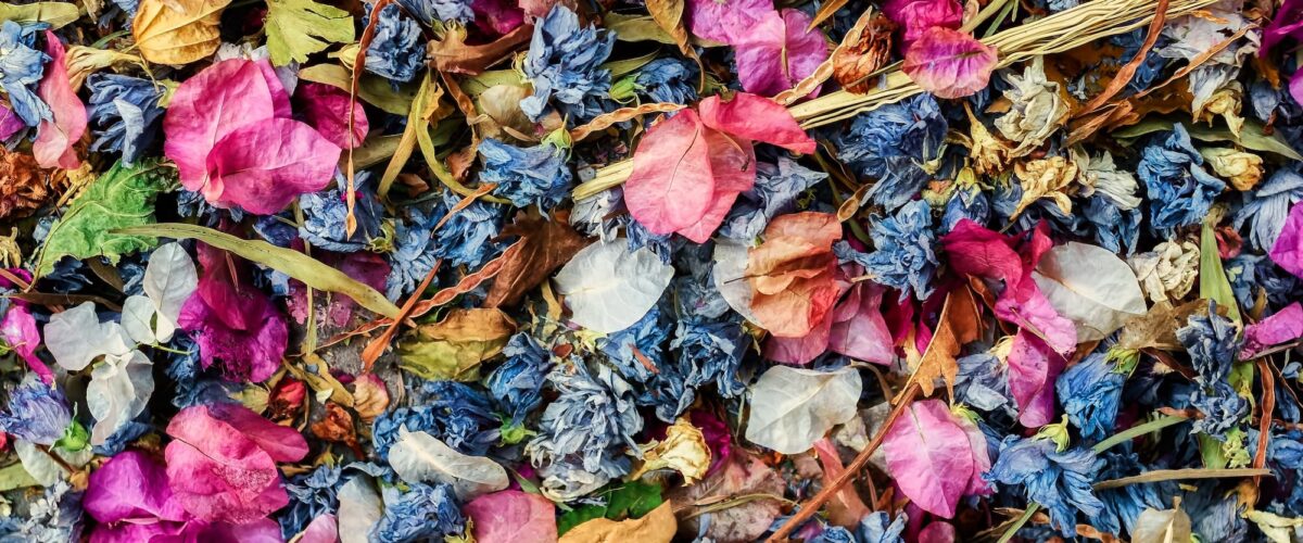 CREATION_FLEURS_SECHEES_2 1200X500 | Le temps d'une Fleur Embellissez votre intérieur avec des fleurs séchées à Masevaux à côté de Thann Wittenheim 1
