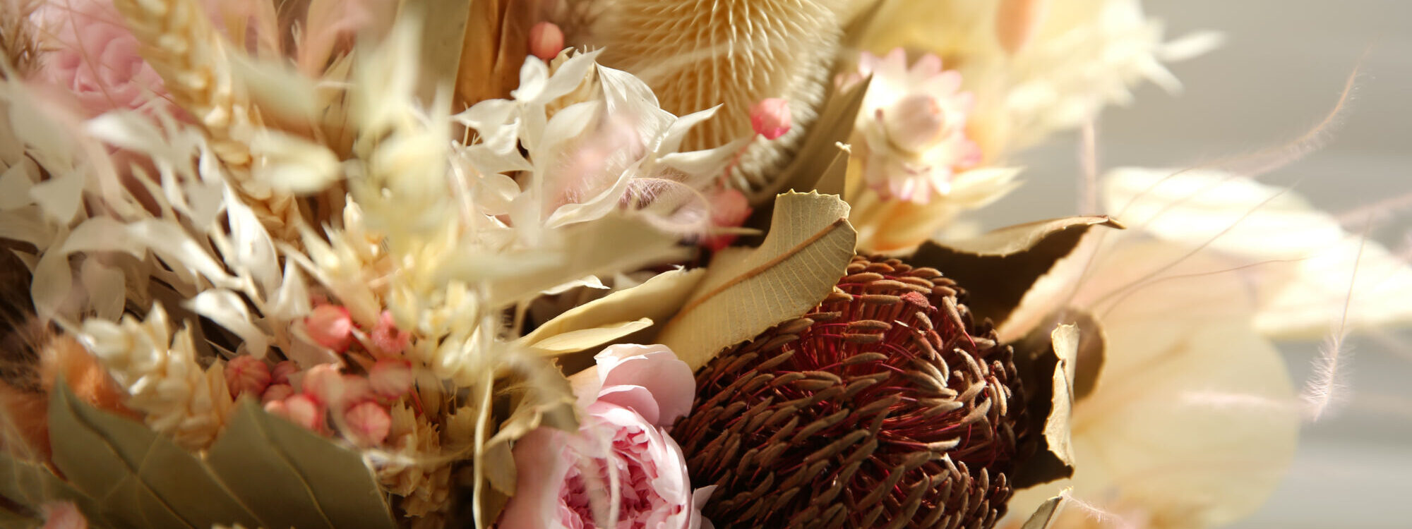 FLEURS SECHEES 2000X750 | Le temps d'une Fleur Embellissez votre intérieur avec des fleurs séchées à Masevaux à côté de Thann Guebwiller