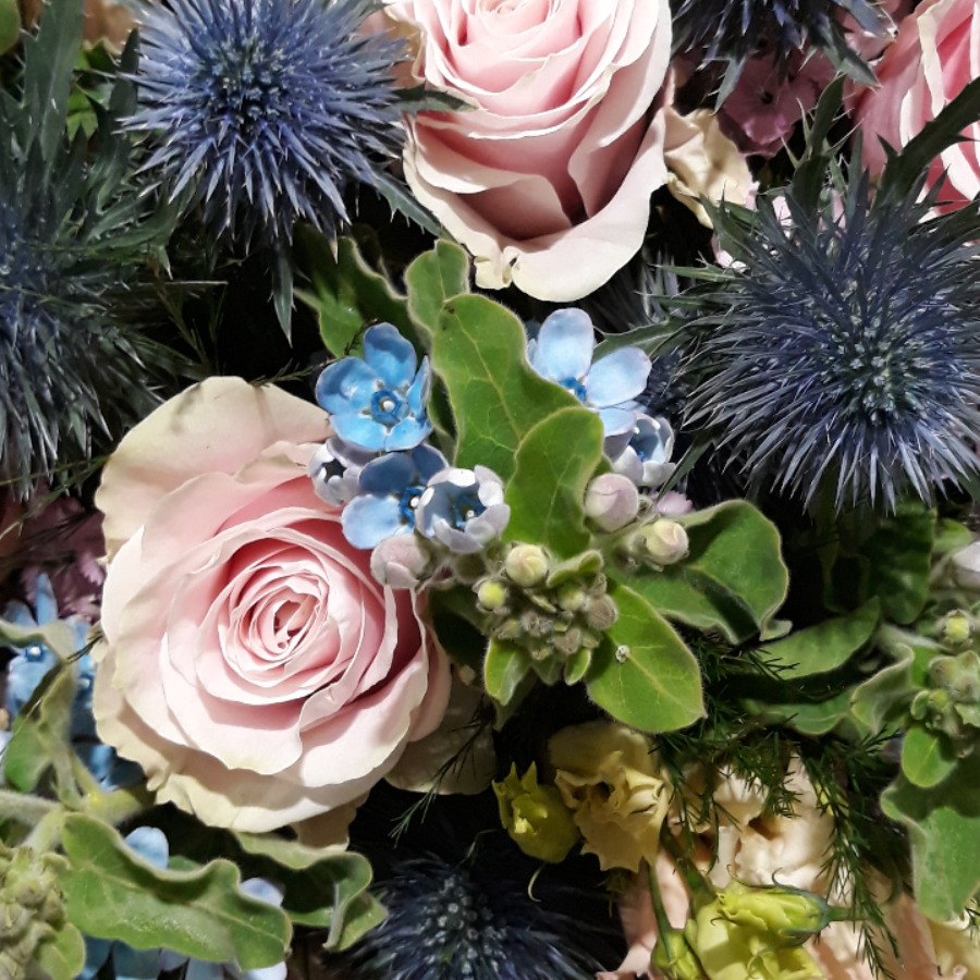 20190430_125851 | Le temps d'une Fleur À propos de Le Temps D’une Fleur Riedisheim 2