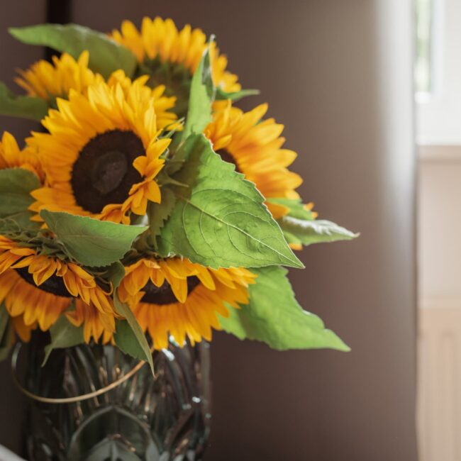 Quelles sont les fleurs &agrave; offrir en &eacute;t&eacute; ? Belfort