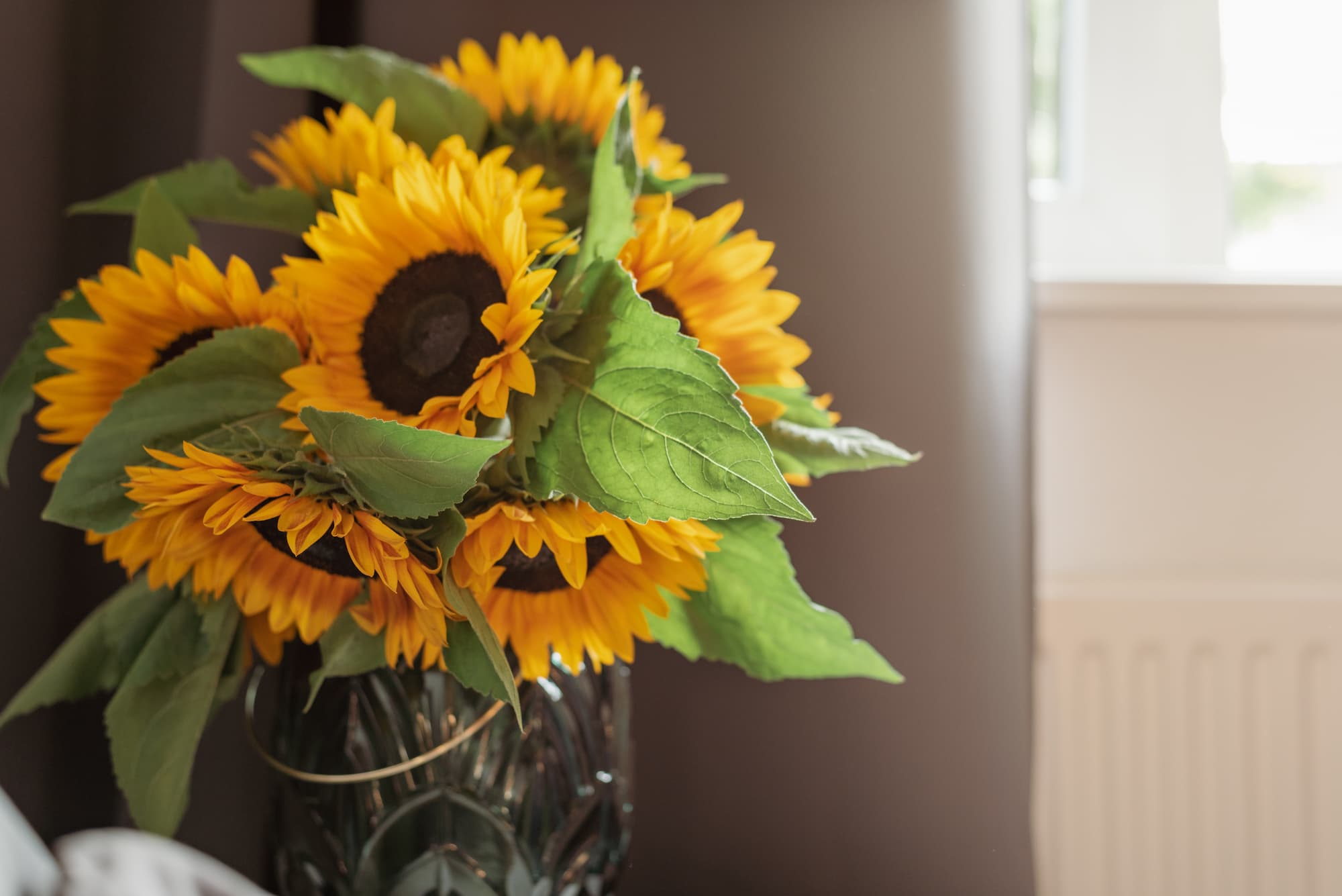 Quel type de bouquet offrir quand on conna&icirc;t la fleur pr&eacute;f&eacute;r&eacute;e d&rsquo;un proche ? Wittenheim