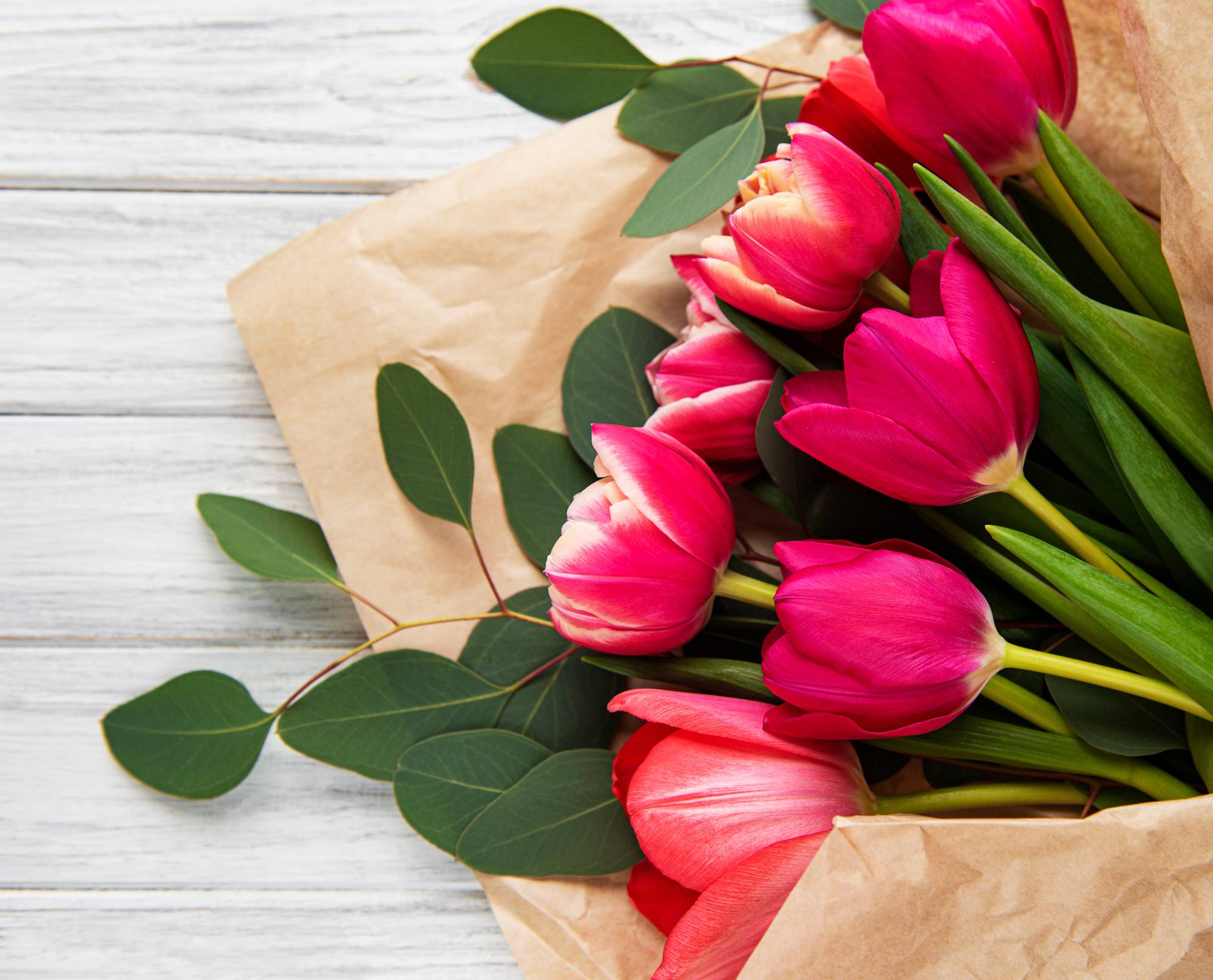 TULIPE | Le temps d'une Fleur Quelles fleurs conviennent le mieux pour un bouquet de fête de grand-mère ? Belfort 4